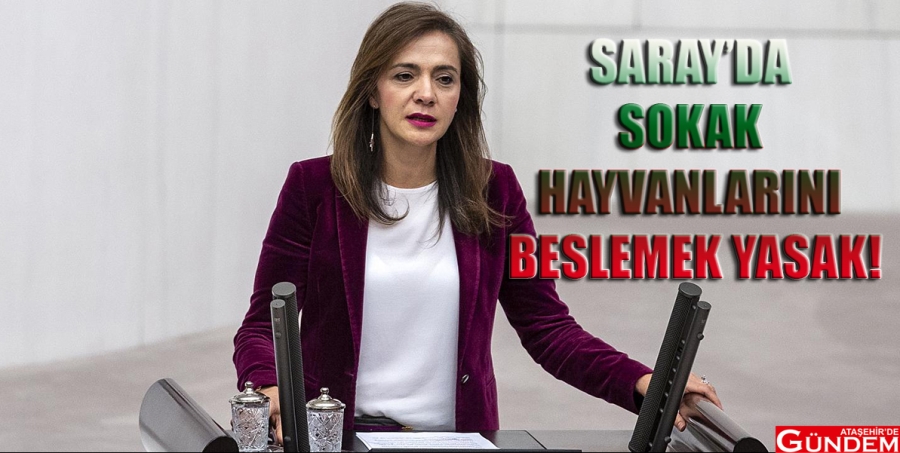 İLGEZDİ: "BU YASAĞA DERHAL SON VERİN" SARAY SOKAK HAYVANI ATAŞEHİR DE GÜNDEM İLGEZDİ